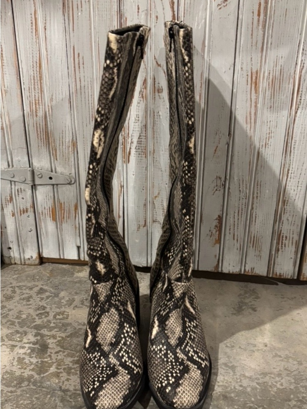 Snake Print Knee-High Boots in Black and Cream